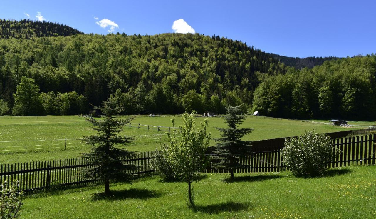 Apartament Rojka Zakopane Luaran gambar